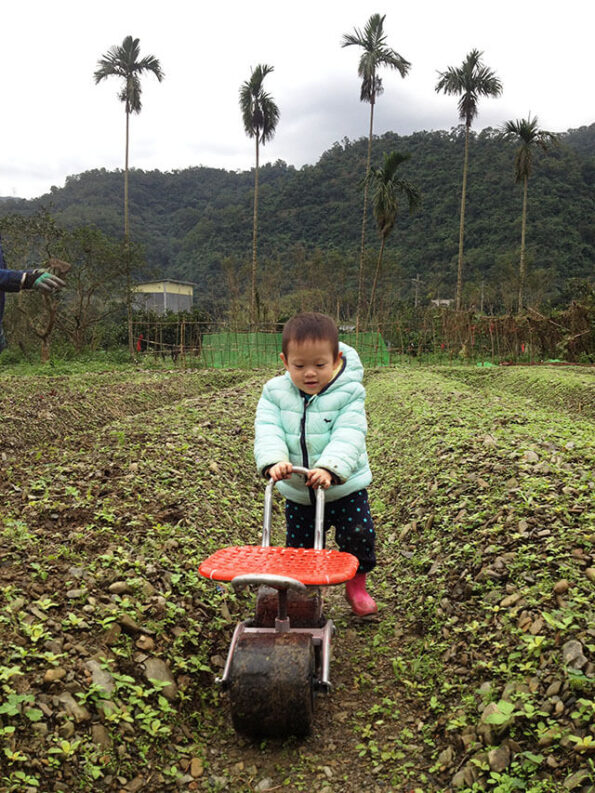 2017 Natural Farming