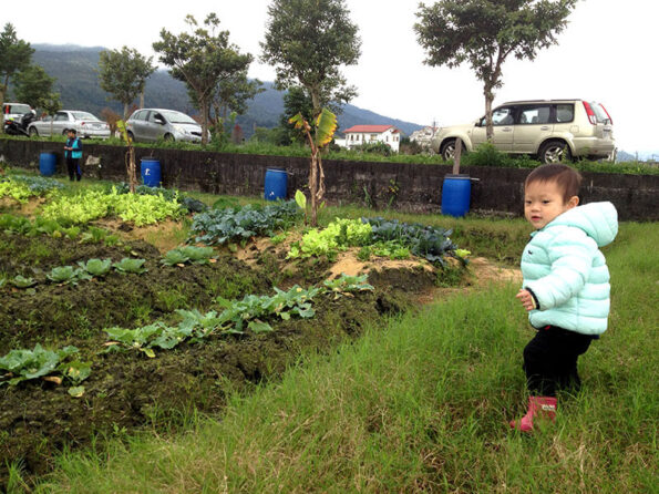 2017 Natural Farming