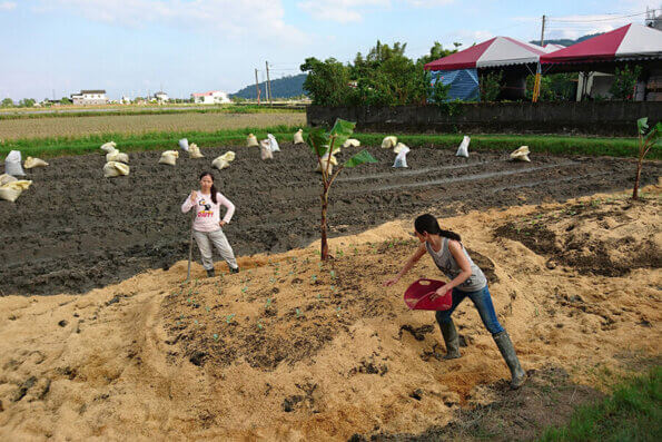 行健有機村做火山堆菜園
