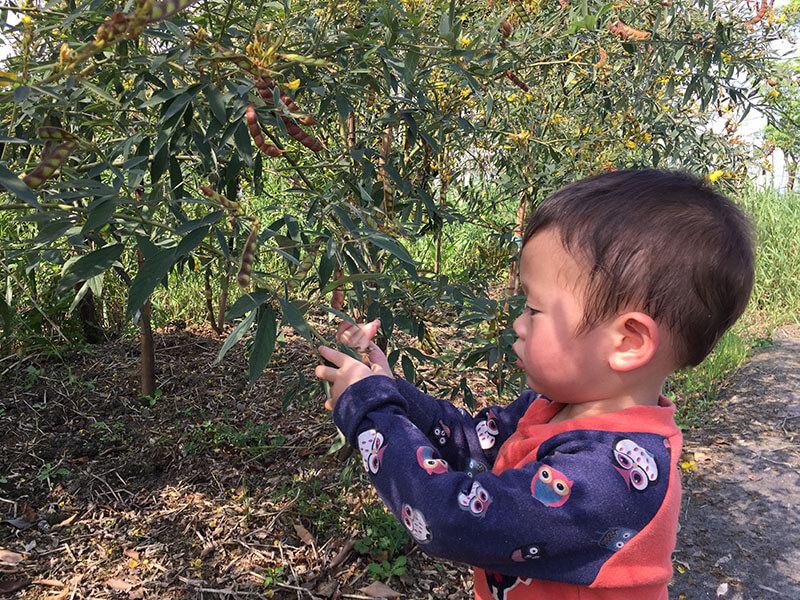 Natural Farming