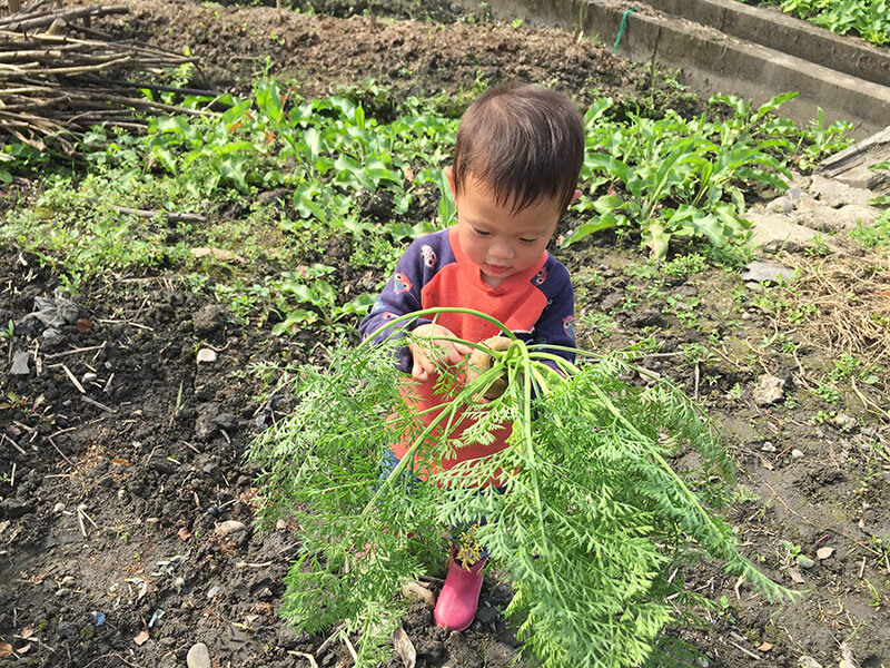Natural Farming