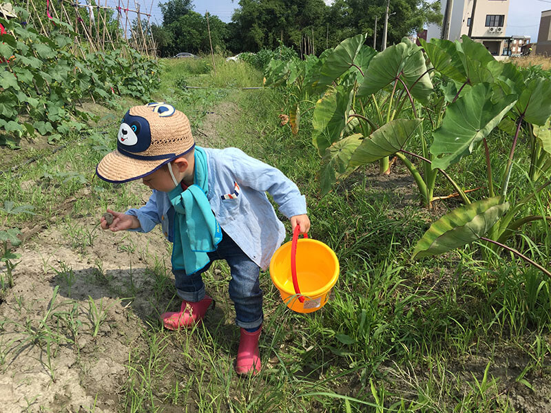 Natural Farming