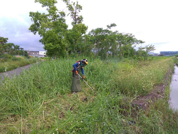 阿咪除草