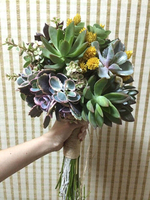 多肉捧花 succulent bouquet