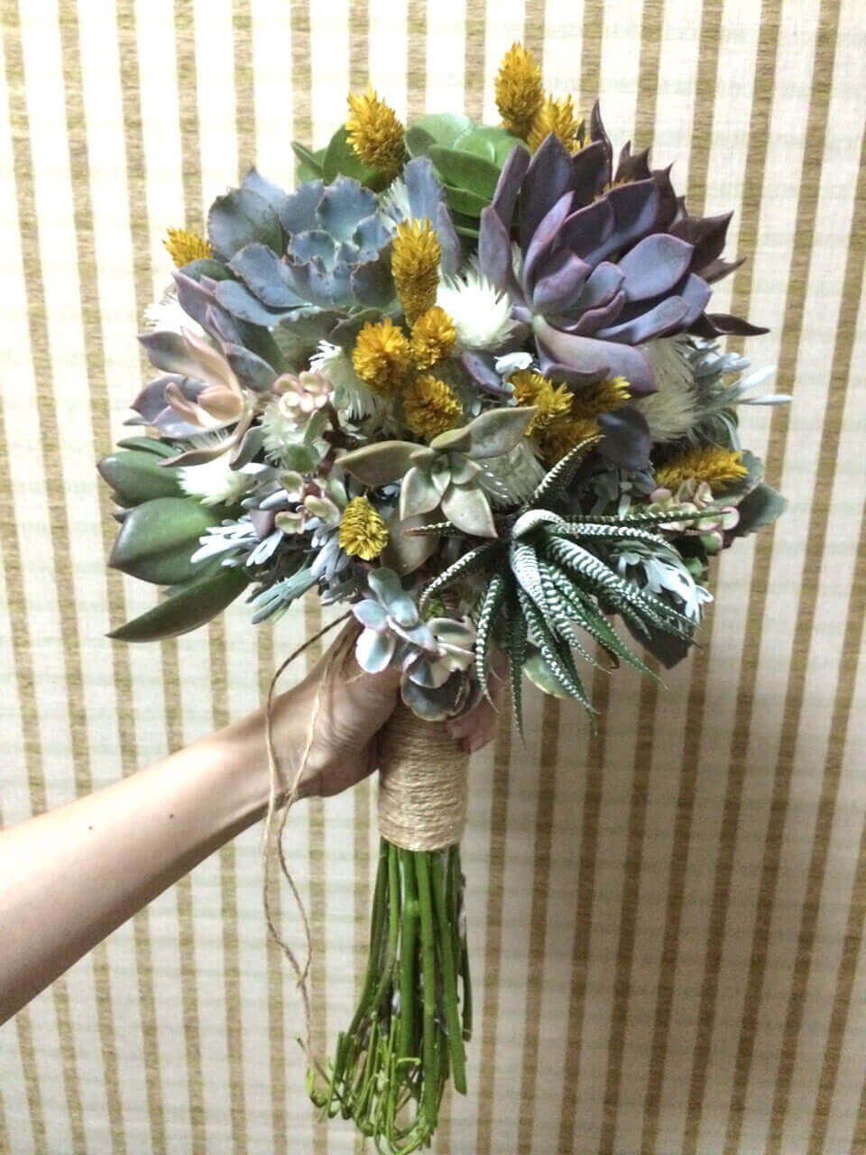 多肉捧花 succulent bouquet