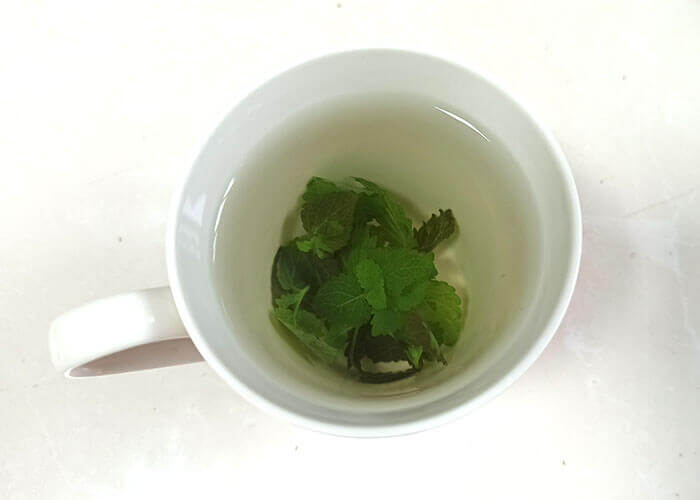 檸檬香蜂草 Lemon Balm