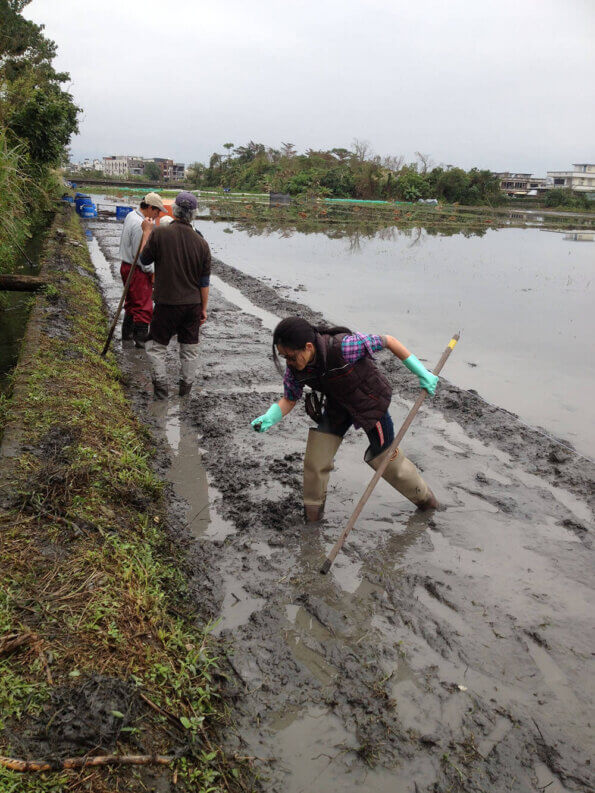 務農 working in field